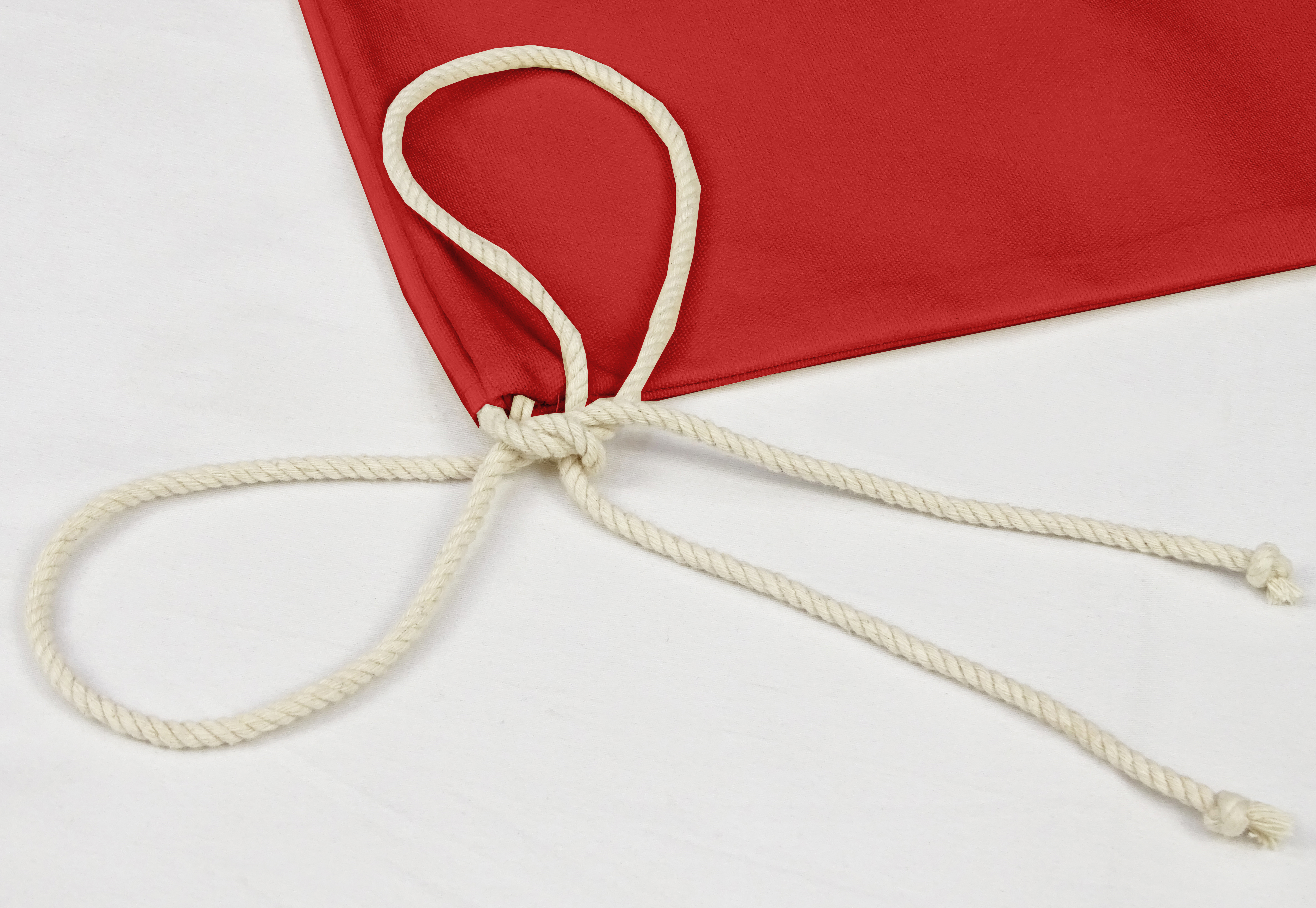 Details about / Pack Of 2 Drawstring Special Delivery Re-Usable Christmas Sack-XM-PRCHSF14B