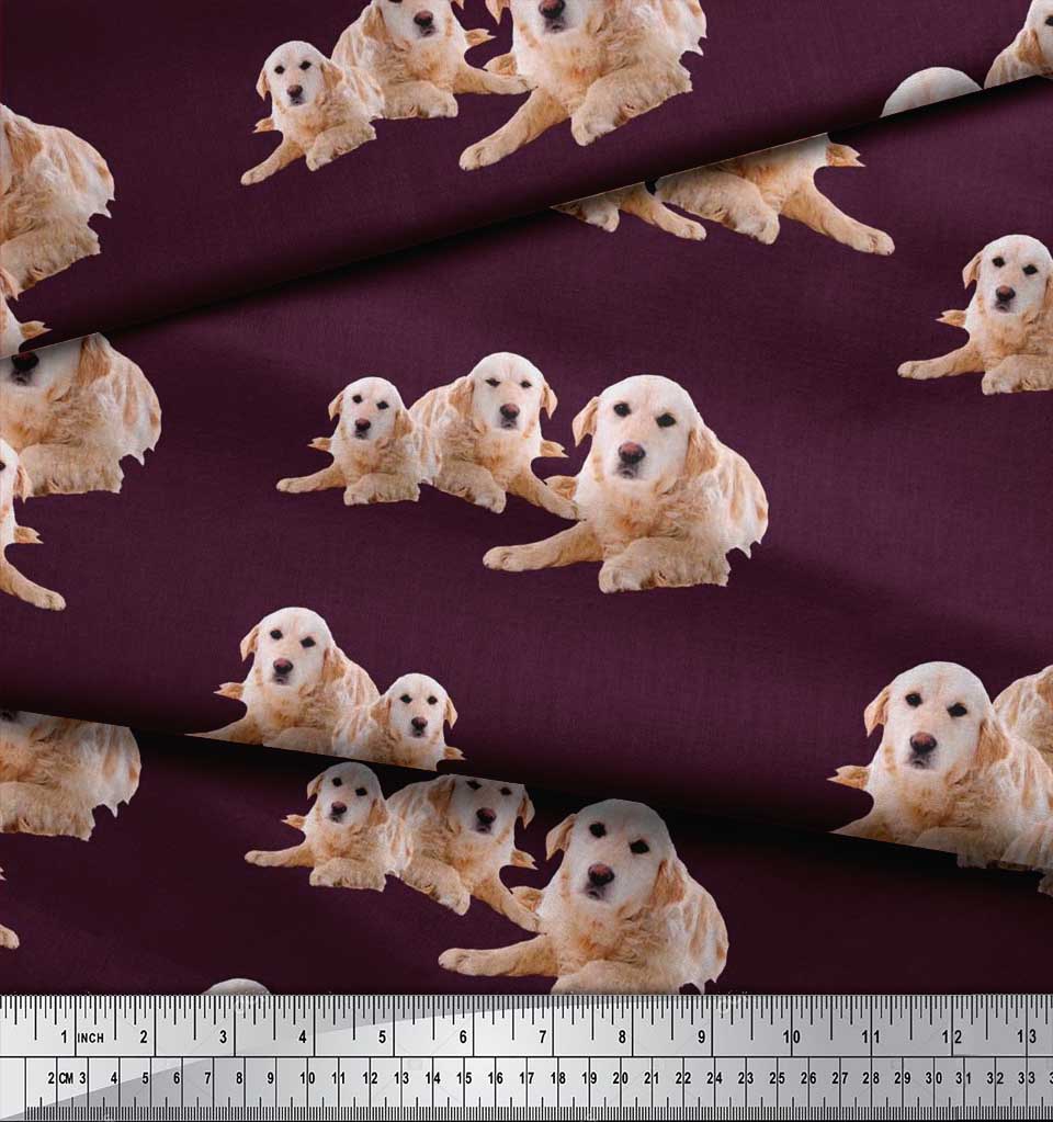 Soimoi Cotton Poplin Fabric Golden Retriever Dog Print Sewing Fabric Kuz Ebay